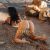 LINA-ATHENS-ESCORT-STARS-6