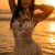 Athens Escort Ariela VIP ⭐️ - Εικόνα4